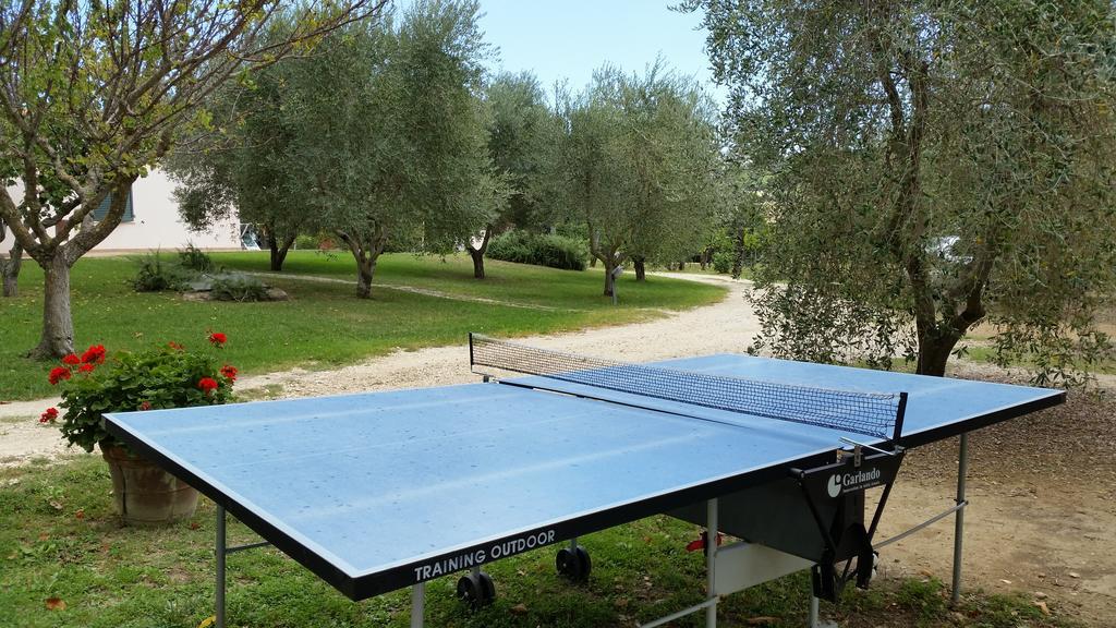 I Sicomori - Seme Di Carota - Glamping E Appartamenti Con Piscina A Saturnia Exterior photo